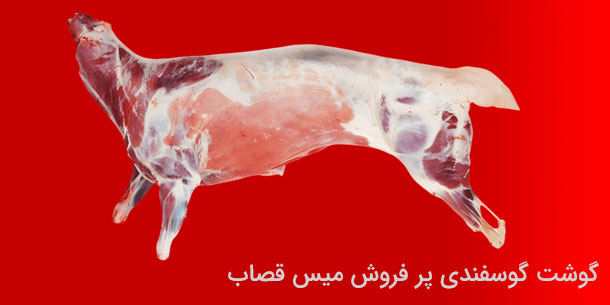 گوشت گوسفندی